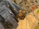 pure silk hand embroidery blouse /  black maggam blouse / raw silk zardosi blouse / hand embroidered blouse / ready made blouse zardosi/