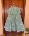 Women’s teens lehenga Set / mehendi crop top lehenga / Indian crop top skirt / wedding lehenga choli USA / lehenga skirt /voggish