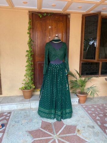 Women’s lehenga Set / green crop top lehenga / Indian crop top skirt / chikankari lehenga choli / mehendi lehenga skirt with dupatta