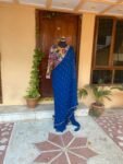 Blue Georgette Saree: Hand-Embroidered Kalamkari Blouse, Stitched Sari