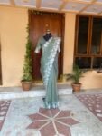 Embroidery organza saree | floral chikan organza silk saree with blouse |green silk saree | mehendi outfit |sarees USA|organza saree blouse