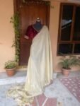Golden tissue silk saree with Embroidered blouse |tissue saree with readymade blouse | sarees USA |shimmer silk saree |trending silk saree