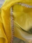 Saree with sleeveless blouse/silk saree hand embroideredblouse/blue saree USA /pure tissue saree ready blouse/cocktail saree/modern saree