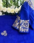 pure silk blue sari set with hand embroidery blouse/saree with maggam blouse/red saree zardosi blouse/hand embroidered blouse organza saree