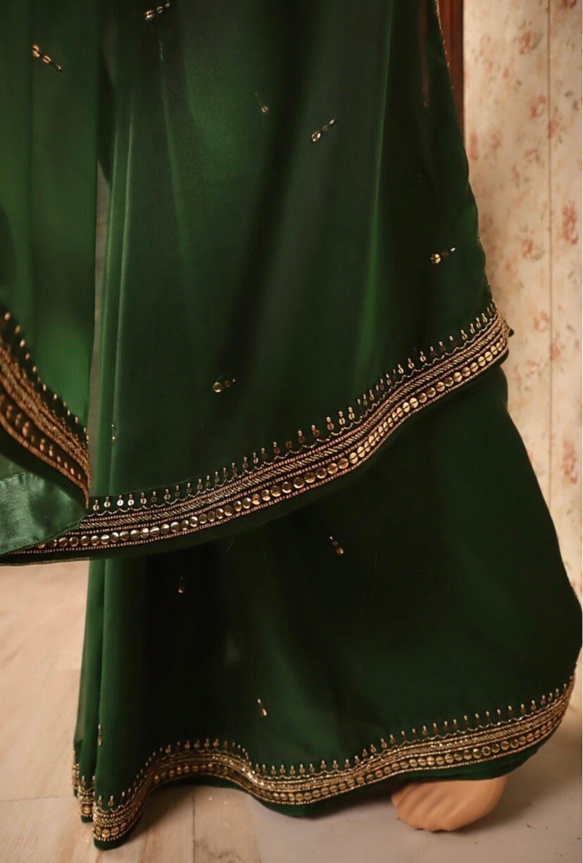 Green chinnon saree with hand embroidered blouse/green saree with blue hand work blouse|sarees USA/ blue pure silk saree/maggam work blouse