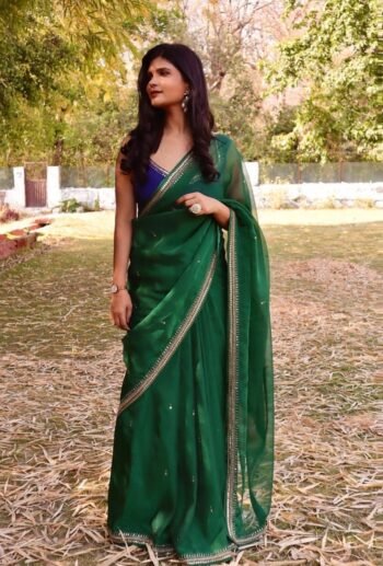 Green chinnon saree with hand embroidered blouse/green saree with blue hand work blouse|sarees  blue pure silk saree/maggam work blouse