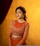 Orange Lehenga set/full sleeve draped gown/orange wedding lehenga gown/organza hand embroidered blouse/orange skirt/wedding party dress usa