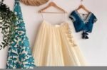 Women’s pure kalamkari lehenga set / crop top lehenga / Hand painted lehenga USA / wedding lehenga USA / kalamkarilehenga choli /voggish usa