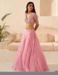 Hand Embroidered Pink Lehenga Set: Organza Silk Indian Crop Top Skirt