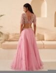 Hand Embroidered Pink Lehenga Set: Organza Silk Indian Crop Top Skirt