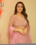 Hand Embroidered Pink Lehenga Set: Organza Silk Indian Crop Top Skirt