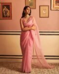 pure organza silk saree with hand embroidered blouse/pink saree with handwork blouse|organza saree USA/pure silk cream organza  saree blouse
