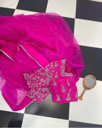 Pink pure organza silk saree with hand embroidered blouse/pink saree with handwork blouse|sarees hot pink pure silk organza saree blouse