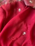 Red Silk Saree with Hand-Embroidered Zardosi Blouse