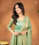 Hand embroidered green Tissue anarkali with dupatta/anarkali suit set /green kurta with dupatta USA/Indian dresses/tissue suit with dupatta