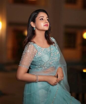 Blue Net Saree: Hand Embroidered Blouse, Modern Saree