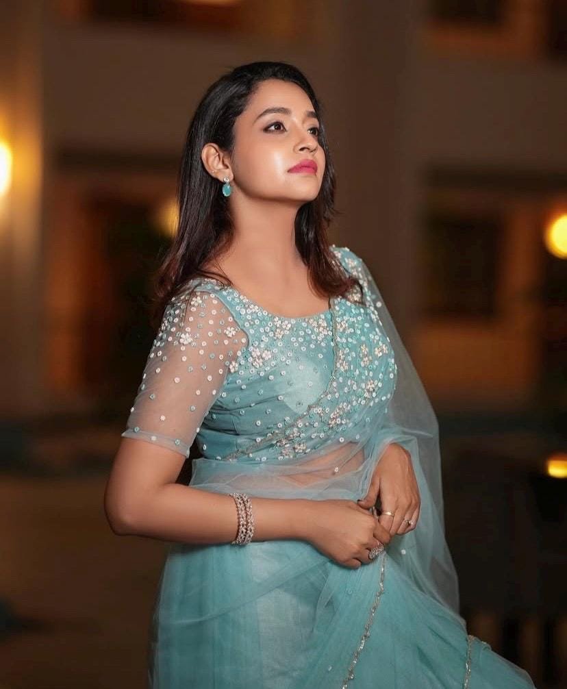 Blue Net Saree: Hand Embroidered Blouse, Modern Saree