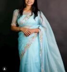 Blue Organza Silk Saree: Hand-Embroidered Blouse & Border