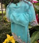 Blue Organza Silk Saree: Hand-Embroidered Blouse & Border