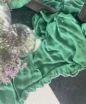 Pista Green Georgette Silk Saree: Hand Embroidered Blouse