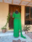 Soft net hand work saree with hand embroidered blouse/green saree with handwork blouse|net transparent saree USA/modern saree with blouse
