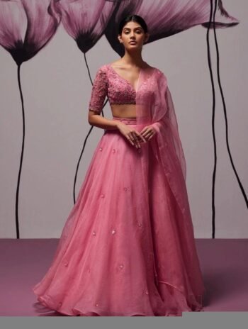 Pink Organza Lehenga Set: Hand Embroidered Indian Crop Top Skirt