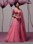Pink Organza Lehenga Set: Hand Embroidered Indian Crop Top Skirt