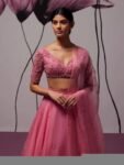 Pink Organza Lehenga Set: Hand Embroidered Indian Crop Top Skirt
