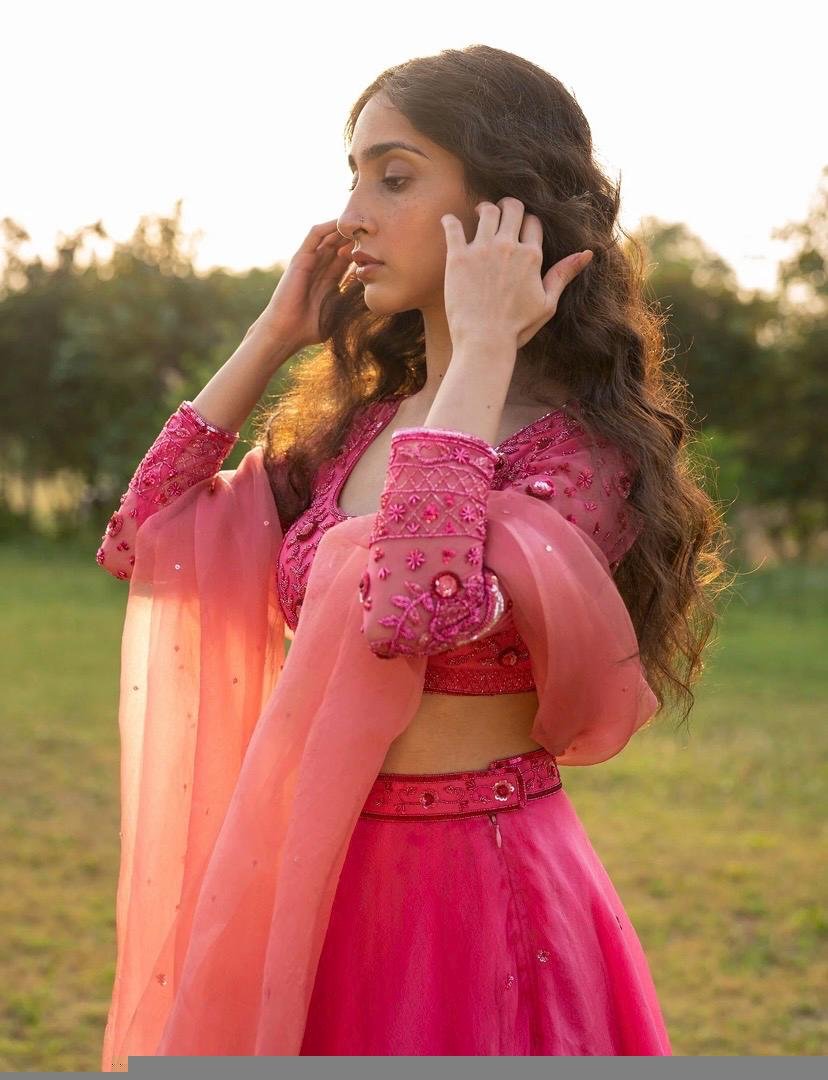 Hand Embroidered Pink Organza Lehenga Set: Indian Crop Top Skirt
