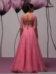 Pink Organza Lehenga Set: Hand Embroidered Indian Crop Top Skirt