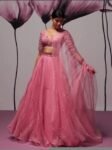 Pink Organza Lehenga Set: Hand Embroidered Indian Crop Top Skirt