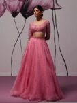 Pink Organza Lehenga Set: Hand Embroidered Indian Crop Top Skirt