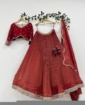 Hand Embroidered Kalamkari Lehenga Set: Red Silk Crop Top, Tissue Dupatta, half saree lehenga, teens Lehenga,tissue lehenga set,wedding dres