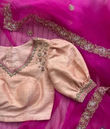 Pink Organza Silk Saree: Hand Embroidered Blouse, Maggam Work, pink handwork saree,plus size blouse,hand embroidery saree,ready to wear sare
