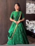 Women’s lehenga Set/green crop top lehenga / Indian crop top skirt USA/pure Mangalgiri pattu lehenga choli/green half saree with dupatta/