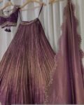 Hand Embroidered Kalamkari Lehenga Set: Red Silk Crop Top, Tissue Dupatta, half saree lehenga, teens Lehenga,tissue lehenga set,wedding dres