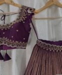 Hand Embroidered Kalamkari Lehenga Set: Red Silk Crop Top, Tissue Dupatta, half saree lehenga, teens Lehenga,tissue lehenga set,wedding dres
