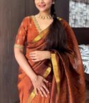 Pure handloom silk saree with Embroidered blouse |traditional saree with readymade blouse | sarees USA |light silk saree | voggish saree
