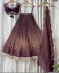Hand Embroidered Kalamkari Lehenga Set: Red Silk Crop Top, Tissue Dupatta, half saree lehenga, teens Lehenga,tissue lehenga set,wedding dres
