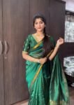 Pure handloom silk saree with Embroidered blouse |traditional saree with readymade blouse | sarees USA |light silk saree | voggish saree